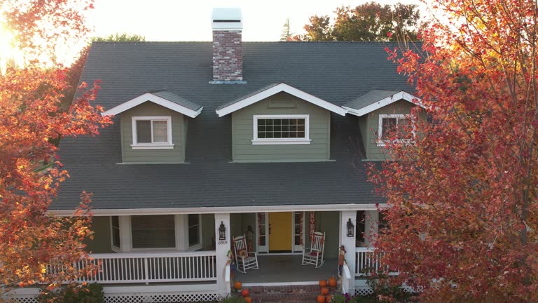Best Chimney Flashing Repair  in Pine Lakes, FL